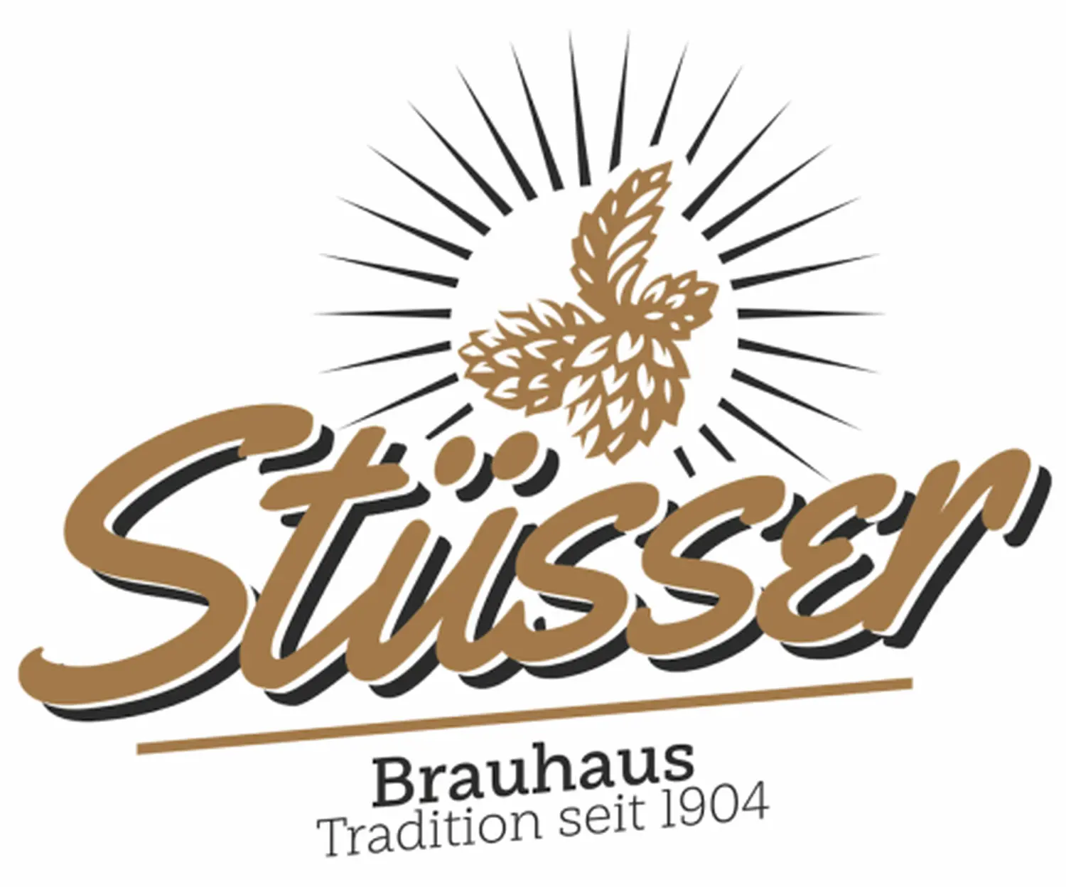 stusser logo