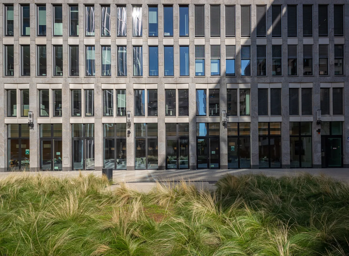 Hohes Gras auf einem grünen Stadtplatz und ein modernes Bürogebäude von gooltex