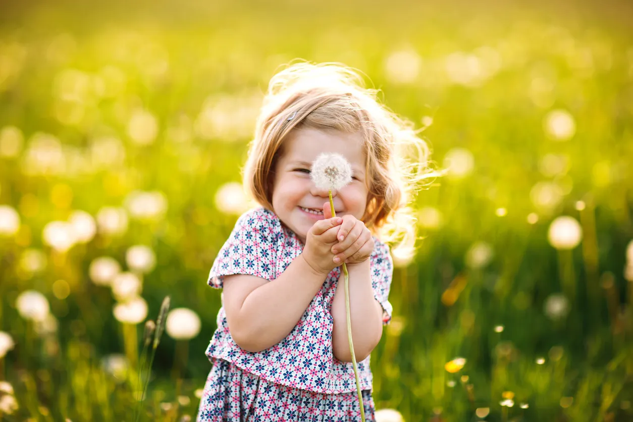 Entzückendes süßes kleines Mädchen, das im Sommer auf einer Löwenzahnblume in der Natur bläst von gooltex