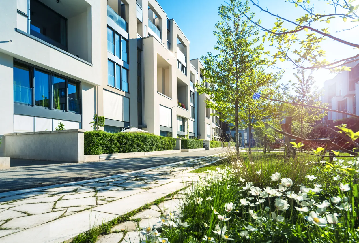 Weiße Blumen im Gras in der Nähe von Bäumen neben dem Gehweg von gooltex